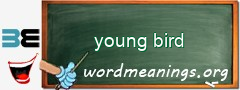 WordMeaning blackboard for young bird
